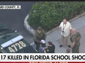 Another Gun Free Zone Massacre