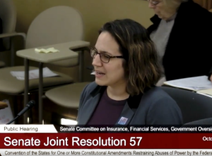 Convention of States Public Hearing in Madison