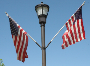 Celebrate Veteran's Day!  Fly your flag for them.