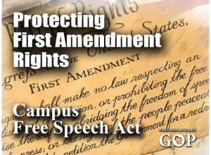 Campus Free Speech Public Hearing