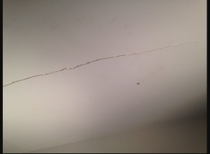 A Treatise on Modern American Culture