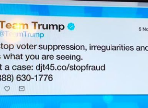 Full Audit of Election Procedures