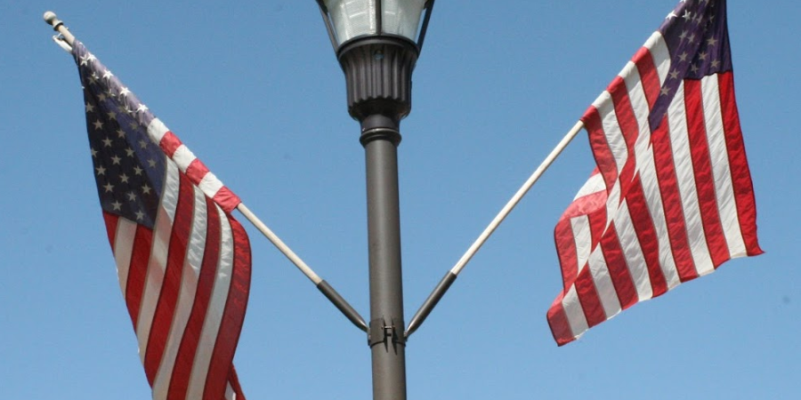 Celebrate Veteran's Day!  Fly your flag for them.